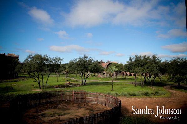 Best Orlando Wedding photographer - Sandra Johnson (SJFoto.com)